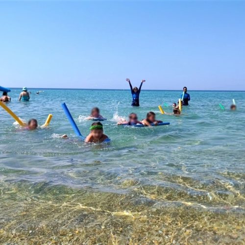 xr:d:DAFpjO24kPY:5,j:1555265296723675026,t:23072412